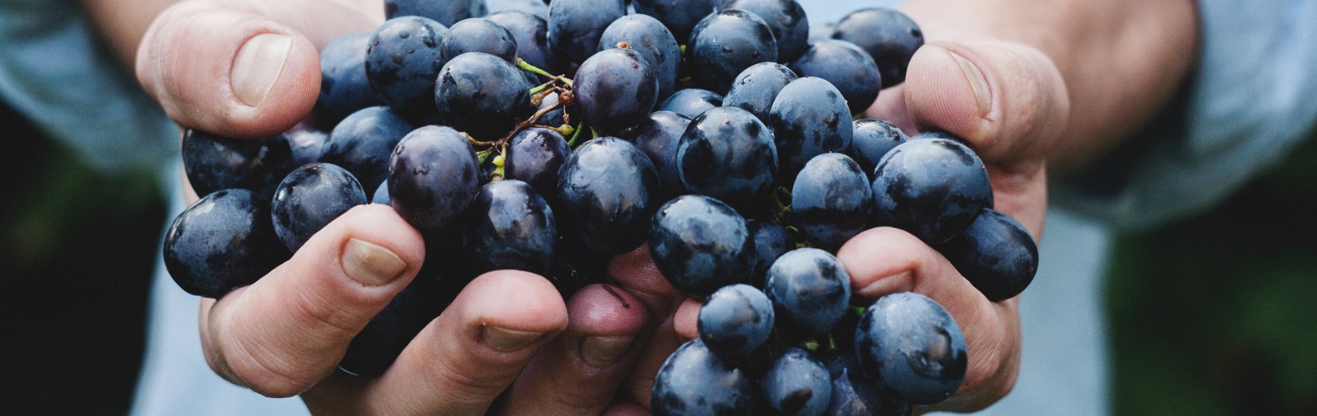 Foods-and-grapes